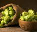 magnum-hops